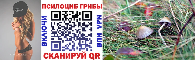 Галлюциногенные грибы Cubensis Купить Рязань